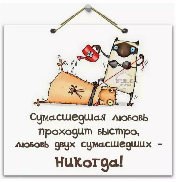 Прикольные высказывания в картинках