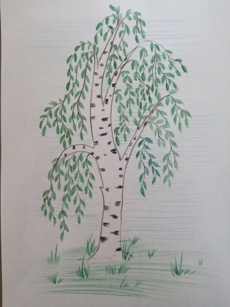 Символ России береза для детей рисование