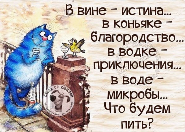 Прикольные высказывания о жизни