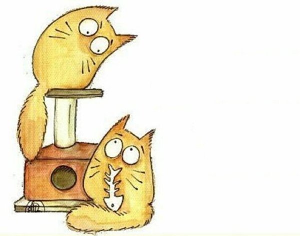 Смешные изречения в картинках