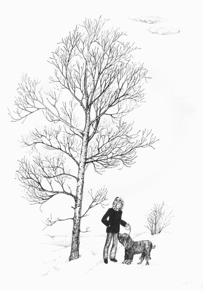 Зарисовки деревьев зимой