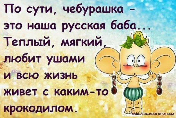 Смешные фразы