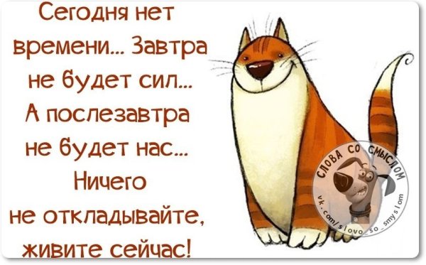 Высказывания о жизни с юмором