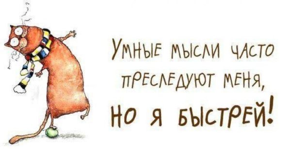 Прикольные мысли и высказывания