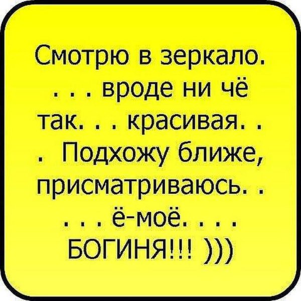 Смешные высказывания