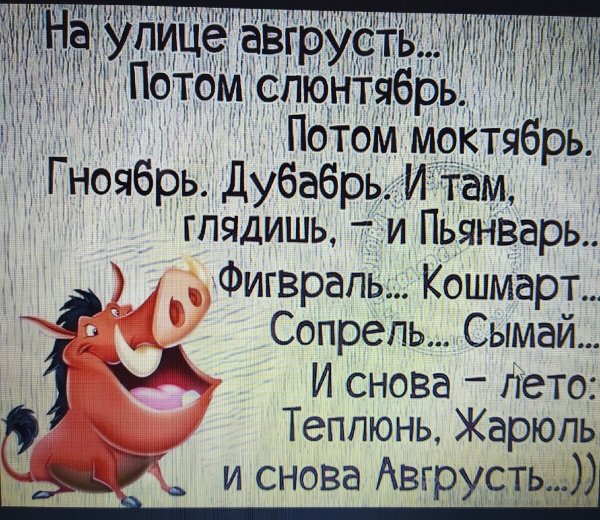 Прикольные высказывания