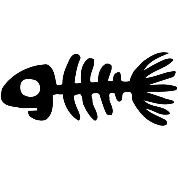 Скелет рыбы