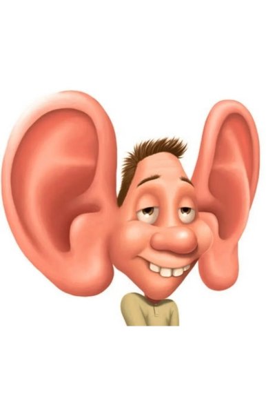 Веселое ухо