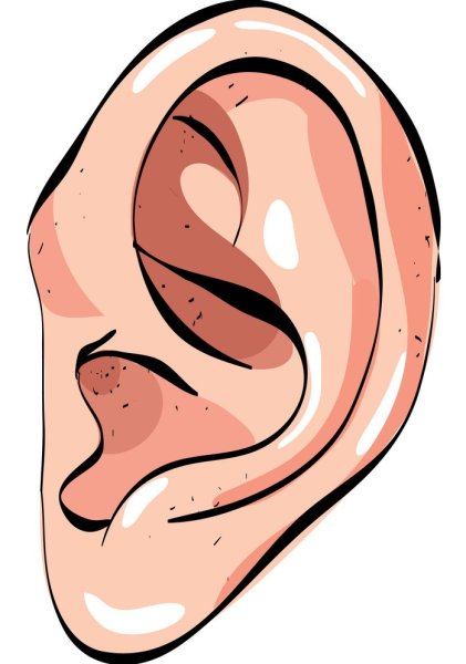 Ухо мультяшное