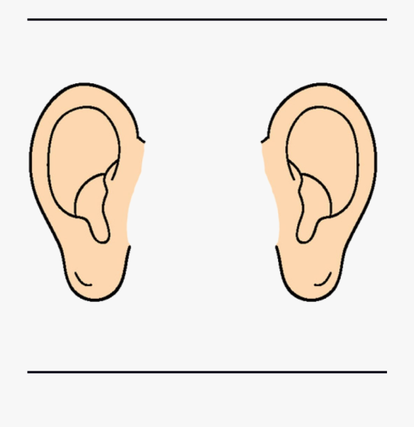Изображение уха для детей