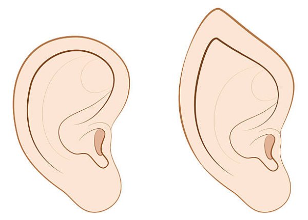 Трафарет эльфийские уши