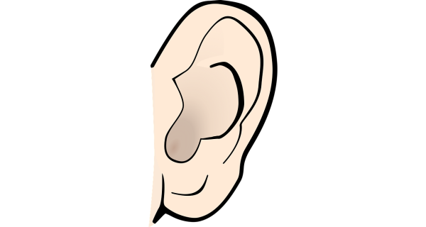 Ears drawing Step by Step