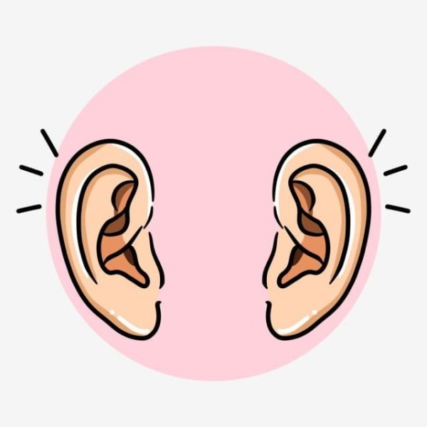 Ухо рисунок