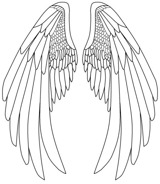 Крылья ангела