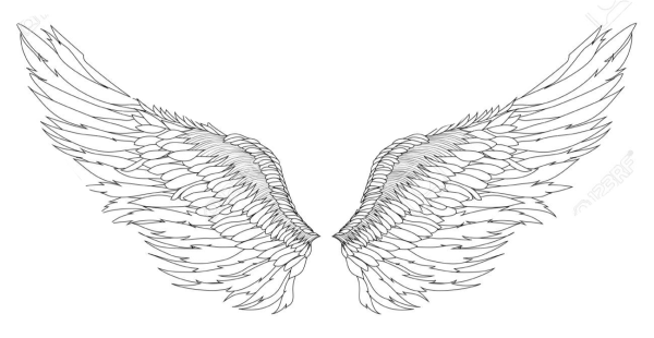 Татуировки на белом фоне Крылья
