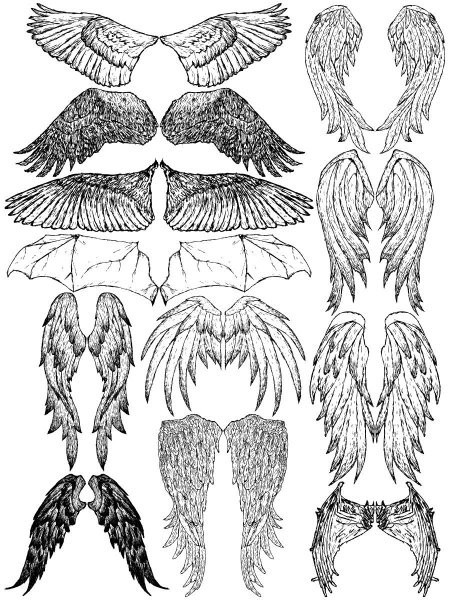 Крылья раскраска