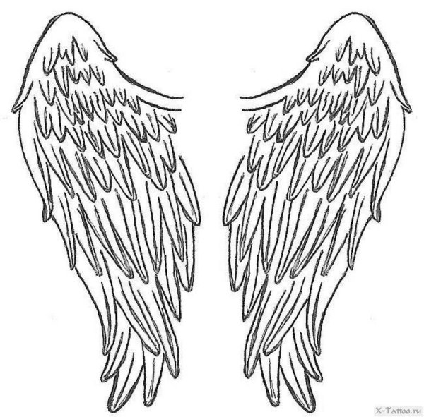 Крылья сбоку