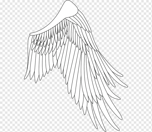 Крылья трафарет