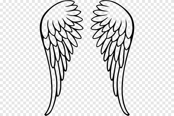 Крылья нарисованные карандашом