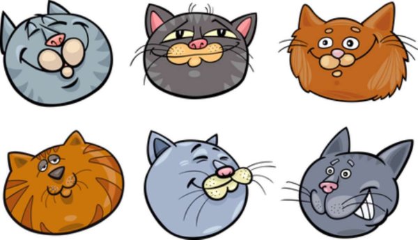 Смешные морды котов рисунки