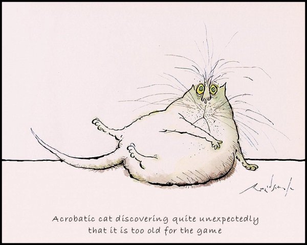 Смешной толстый кот рисунок