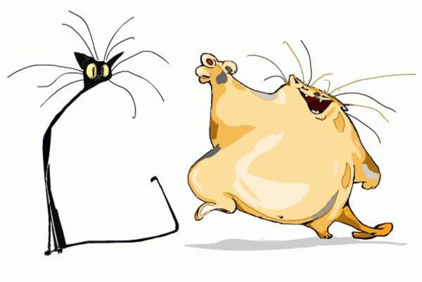 Толстый кот и худой кот