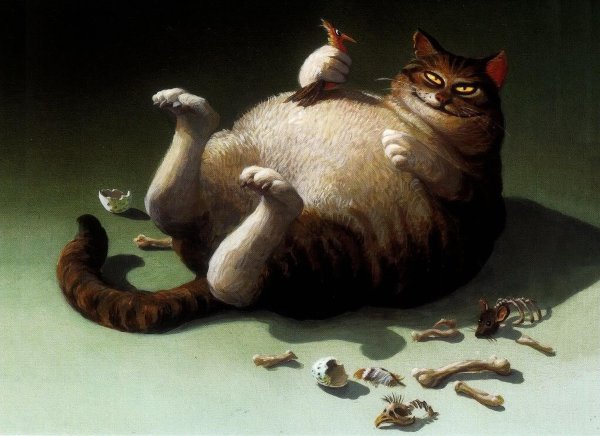 Коты Макото Мурамацу