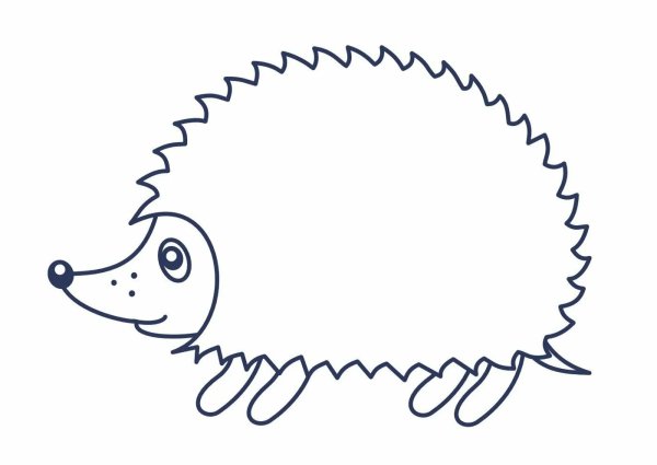 Раскраска Ёжик