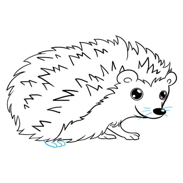 Даурский еж рисунок