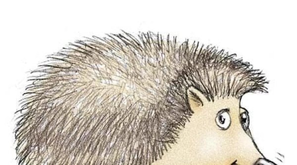 Картинка ежика карандашом