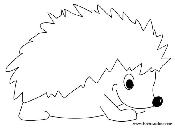 Еж раскраска для детей