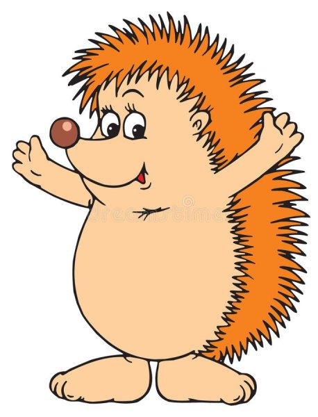 Ежик на белом фоне мультяшный