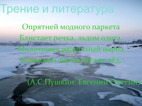 Опрятней модного паркета Пушкин