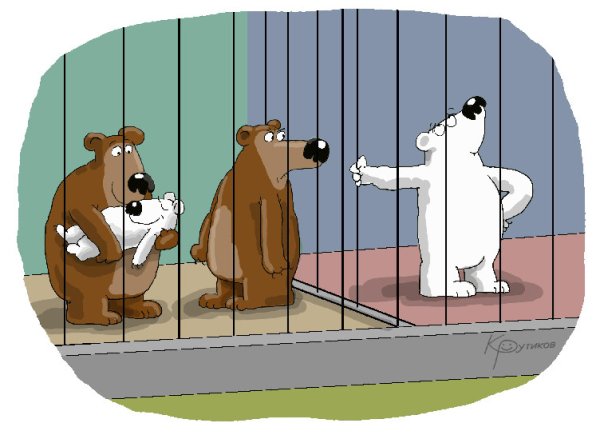 Три медведя юмор