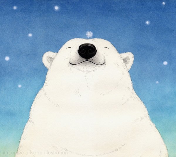 Открытка белый медведь