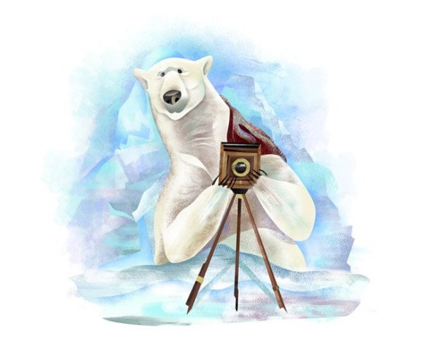 Медведь с фотоаппаратом