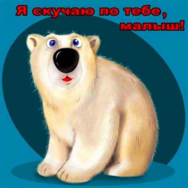 Белый медведь надпись