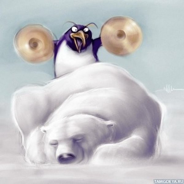 Медведь и Пингвин