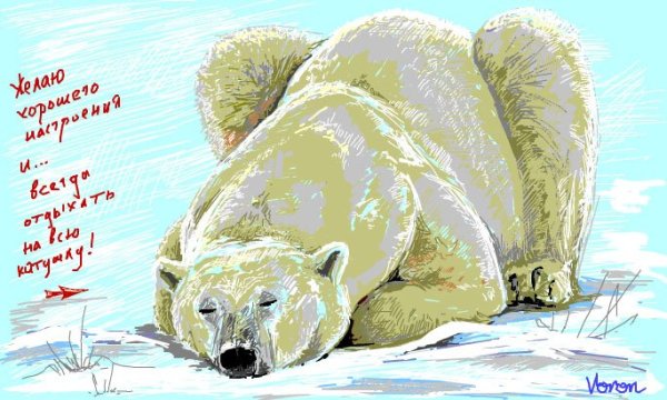 С днем рождения медведь