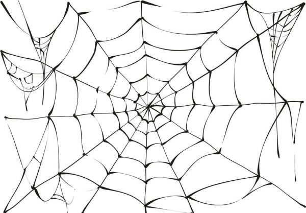 Графическая паутина