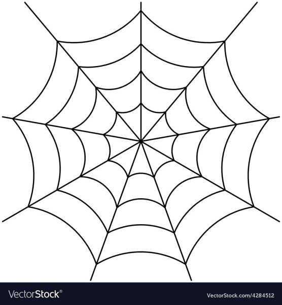 Паутина контур