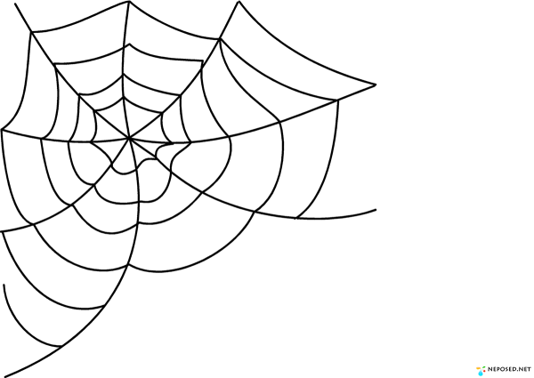 Паук и паутина для детей