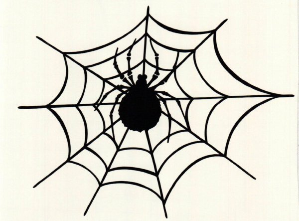 Паутина силуэт