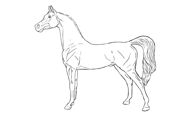 Лошадка для рисования