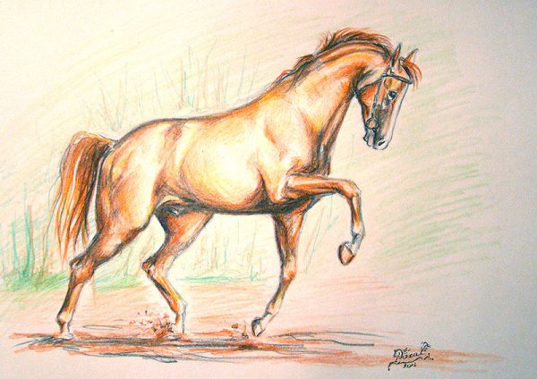 Лошадь рисунок карандашом