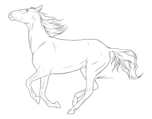 Лайн лошади