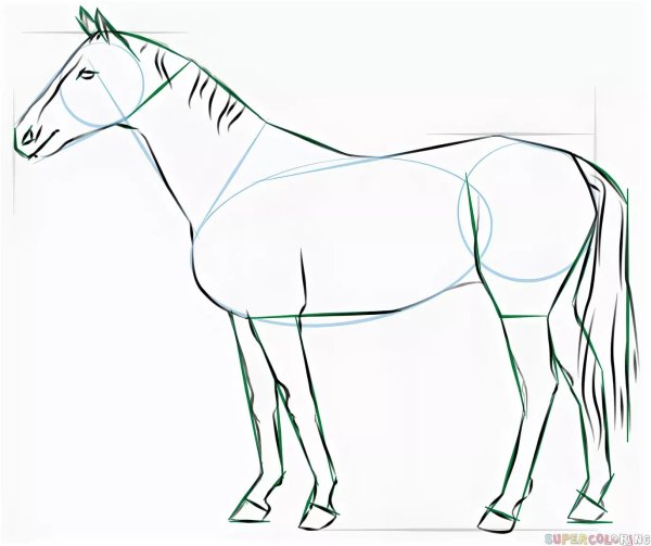 Лошадь рисунок
