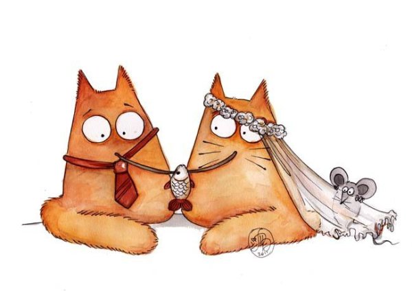 Коты Марии Ван Брюгген свадьба