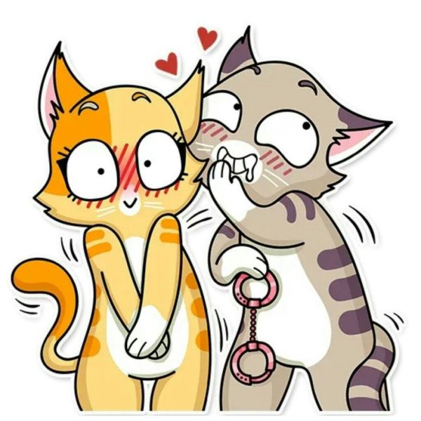 Стикер котик Эротический