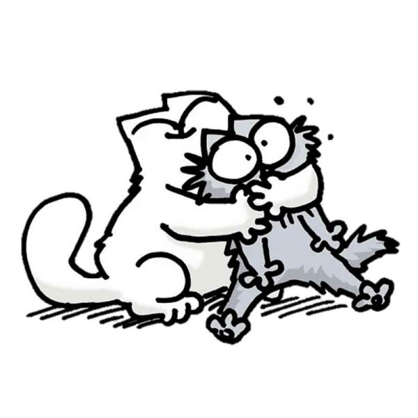 Котик Саймон любовь